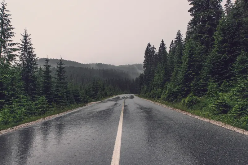 wet road due to rain