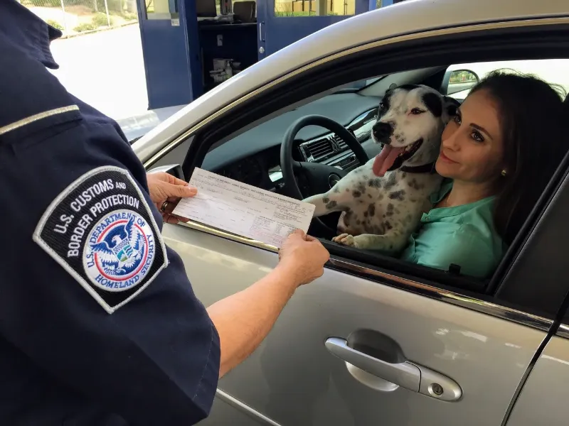 woman and her dog in the driver's side speaking with a U.S. Customs & Border Protection officer