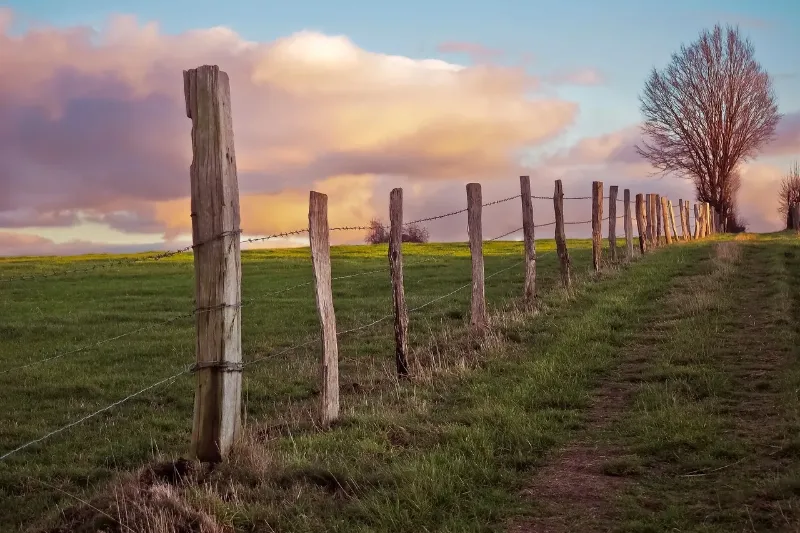 barbed wire wood fence with beautiful sunset and grassy field