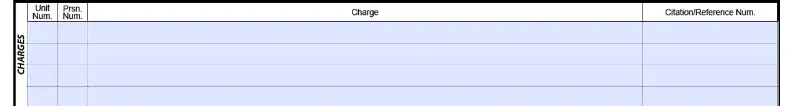 charges section of an accident report